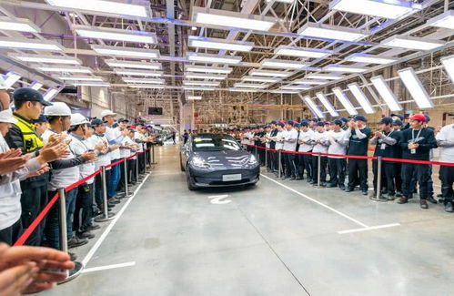 電動(dòng)防爆車見(jiàn)證浪漫 首批國(guó)產(chǎn)特斯拉Model 3交付現(xiàn)場(chǎng)車主求婚